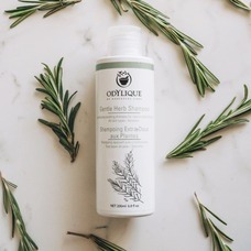 Why Rosemary Shampoo? - Benefits Of Rosemary For The Hair And Skin ...